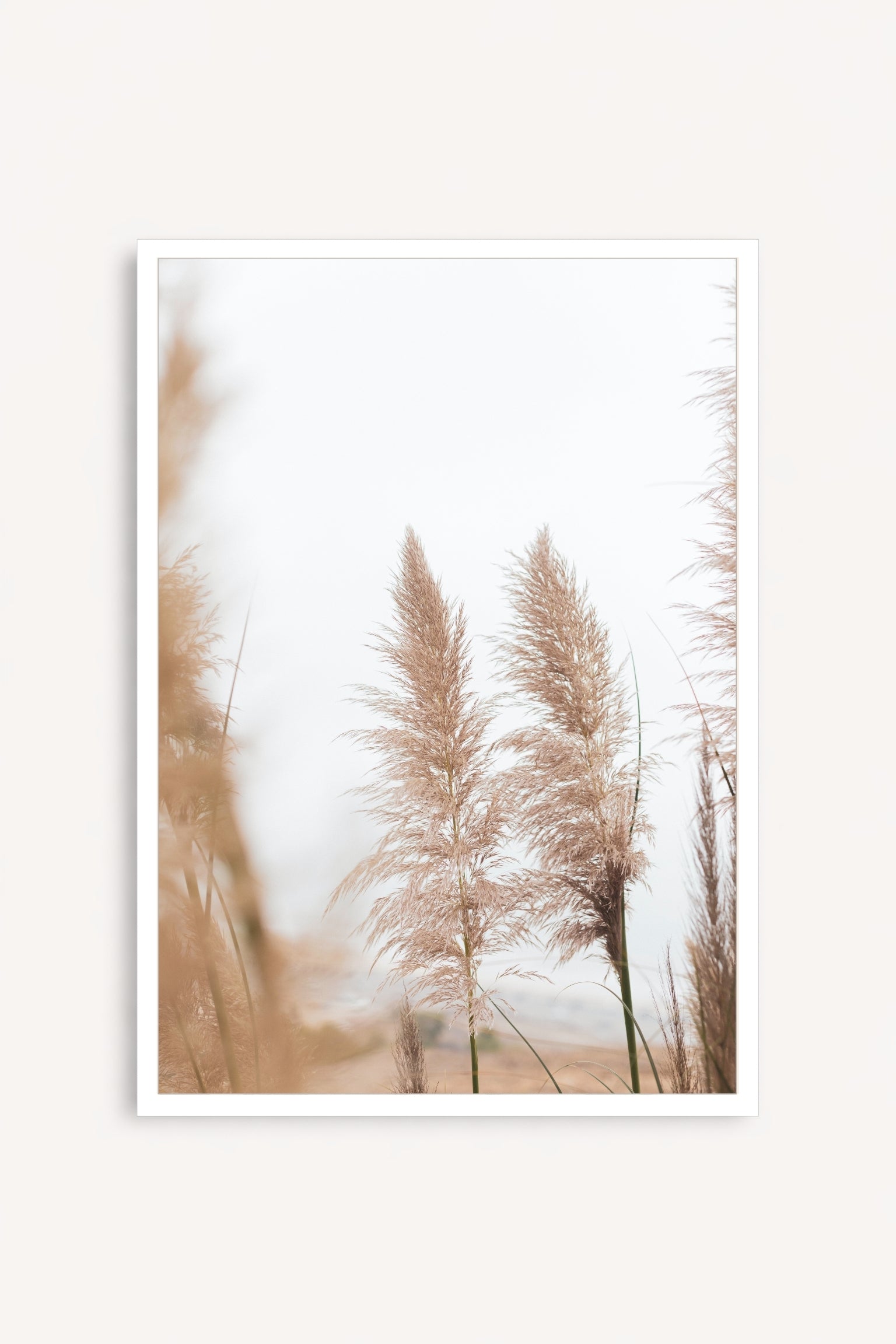 Pampas I