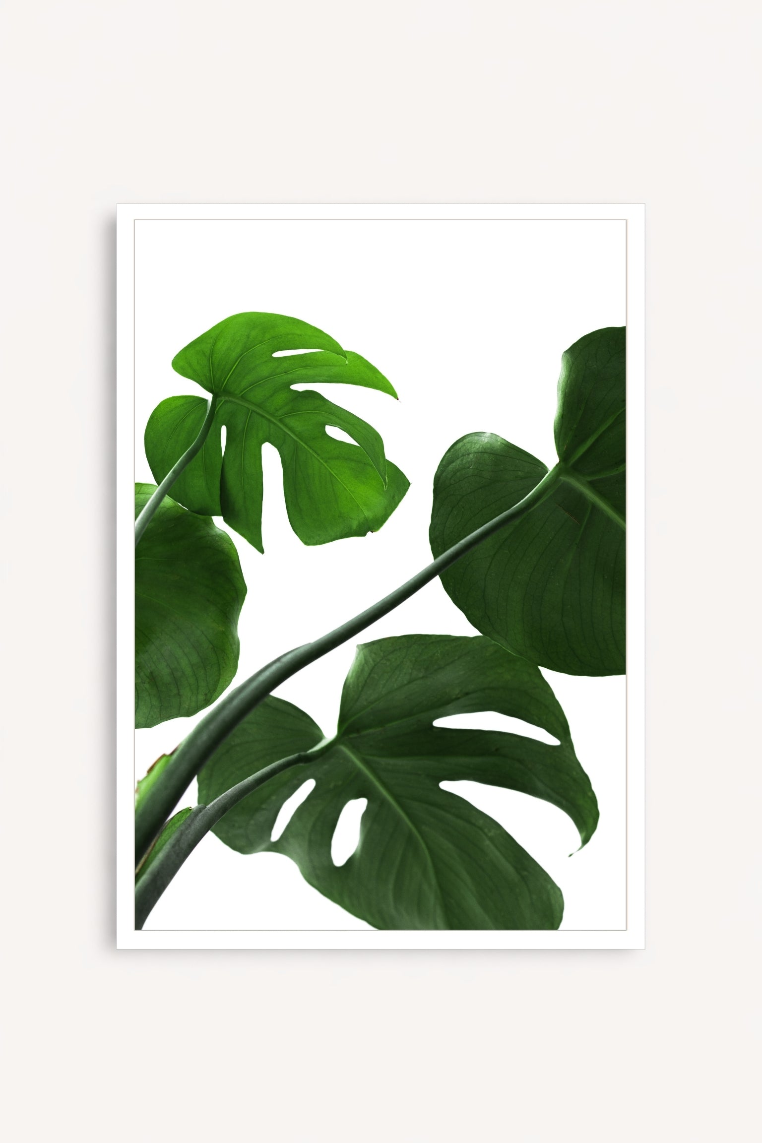 Esencia Tropical