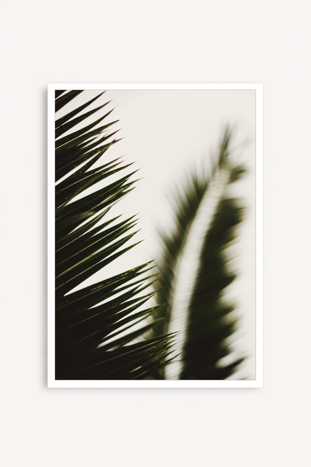 Palma I