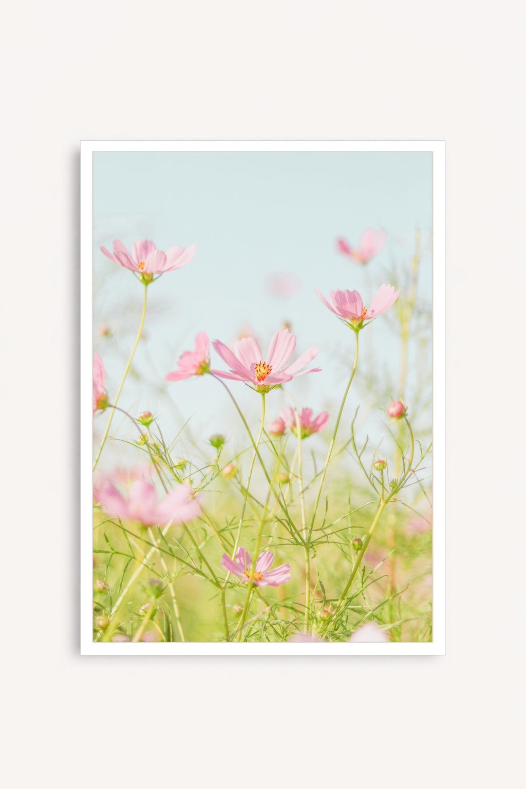 Flores Rosadas