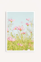 Flores Rosadas