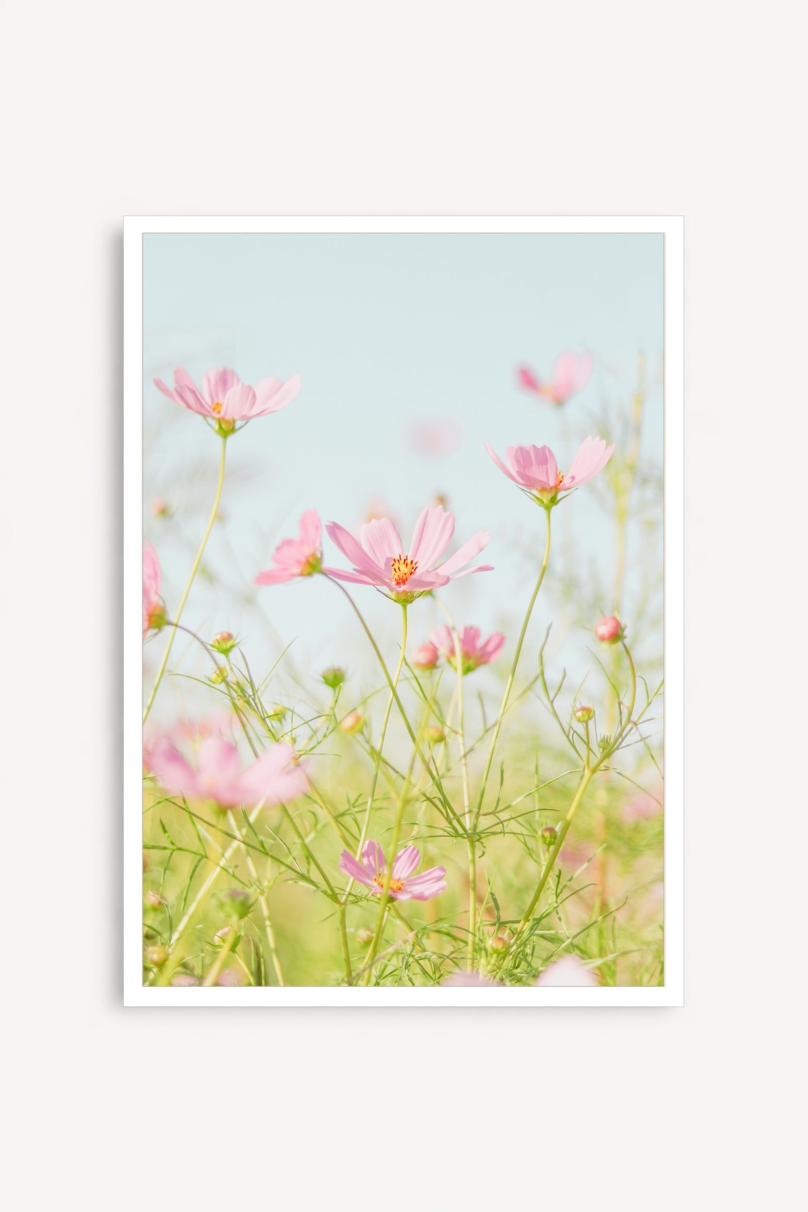 Flores Rosadas