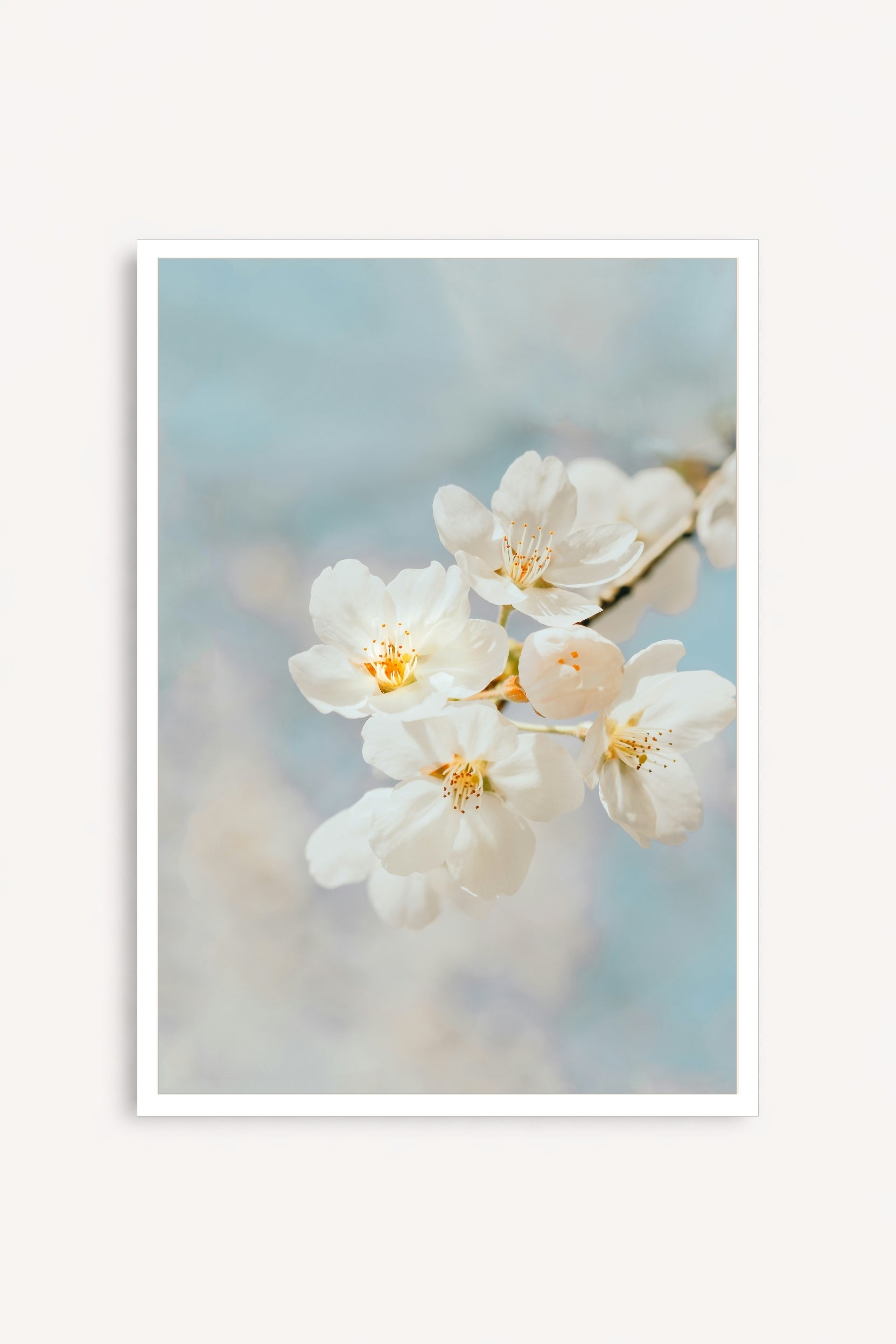 Blossom