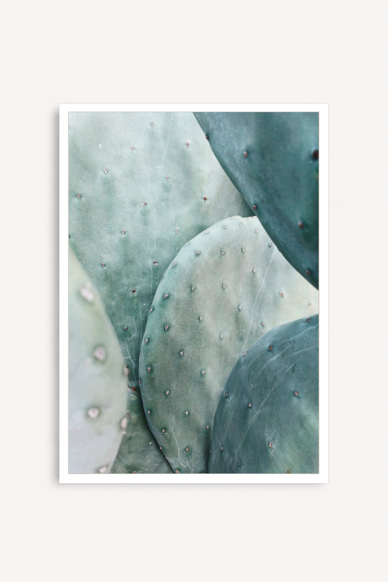 Mint Sage