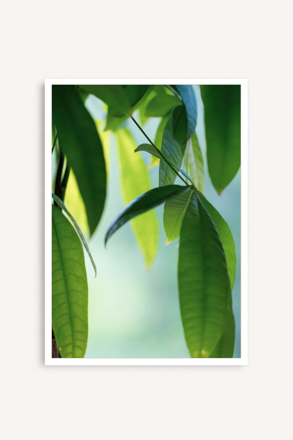 Cuadro Abanico Verde