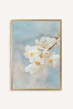 Blossom