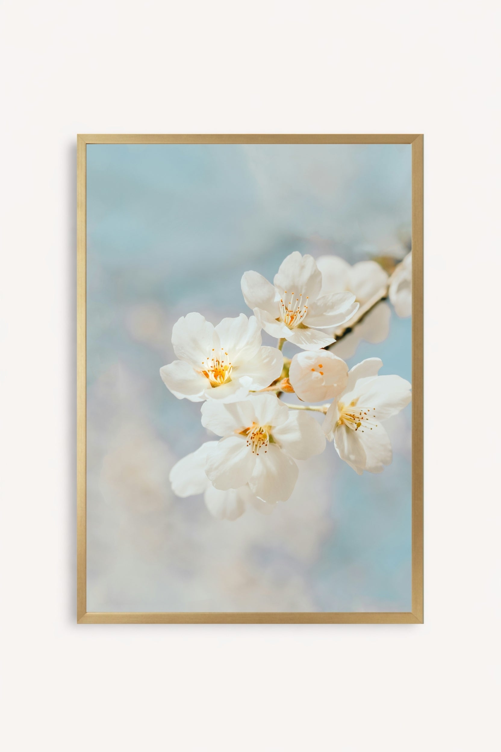 Blossom