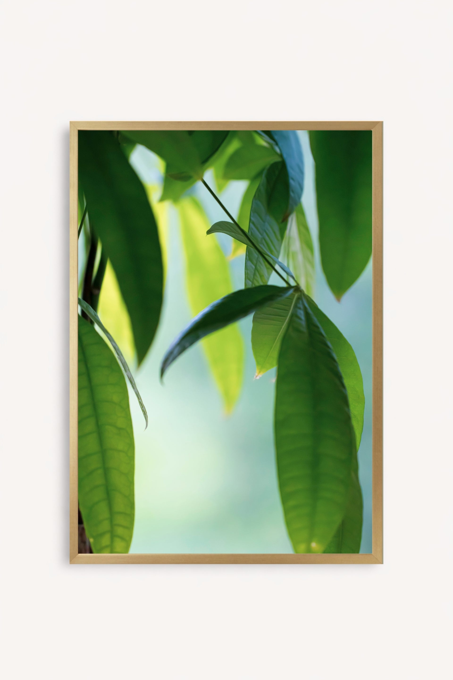 Cuadro Abanico Verde