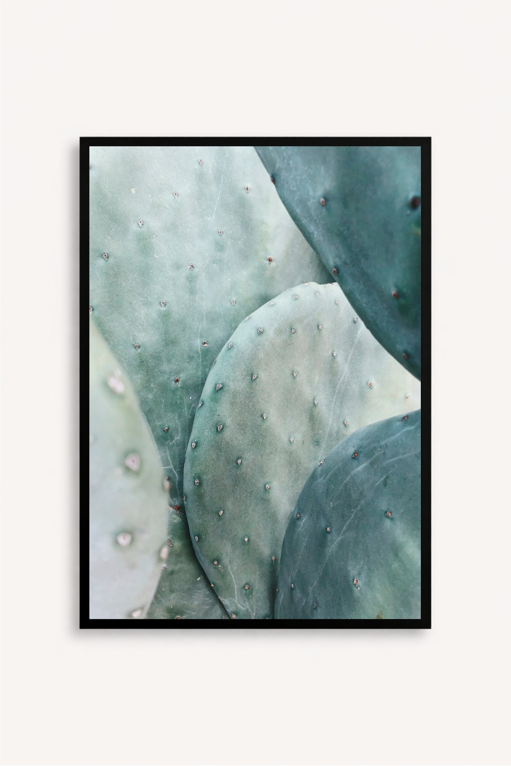 Mint Sage