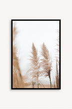 Pampas I