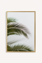 Hojas de palmera