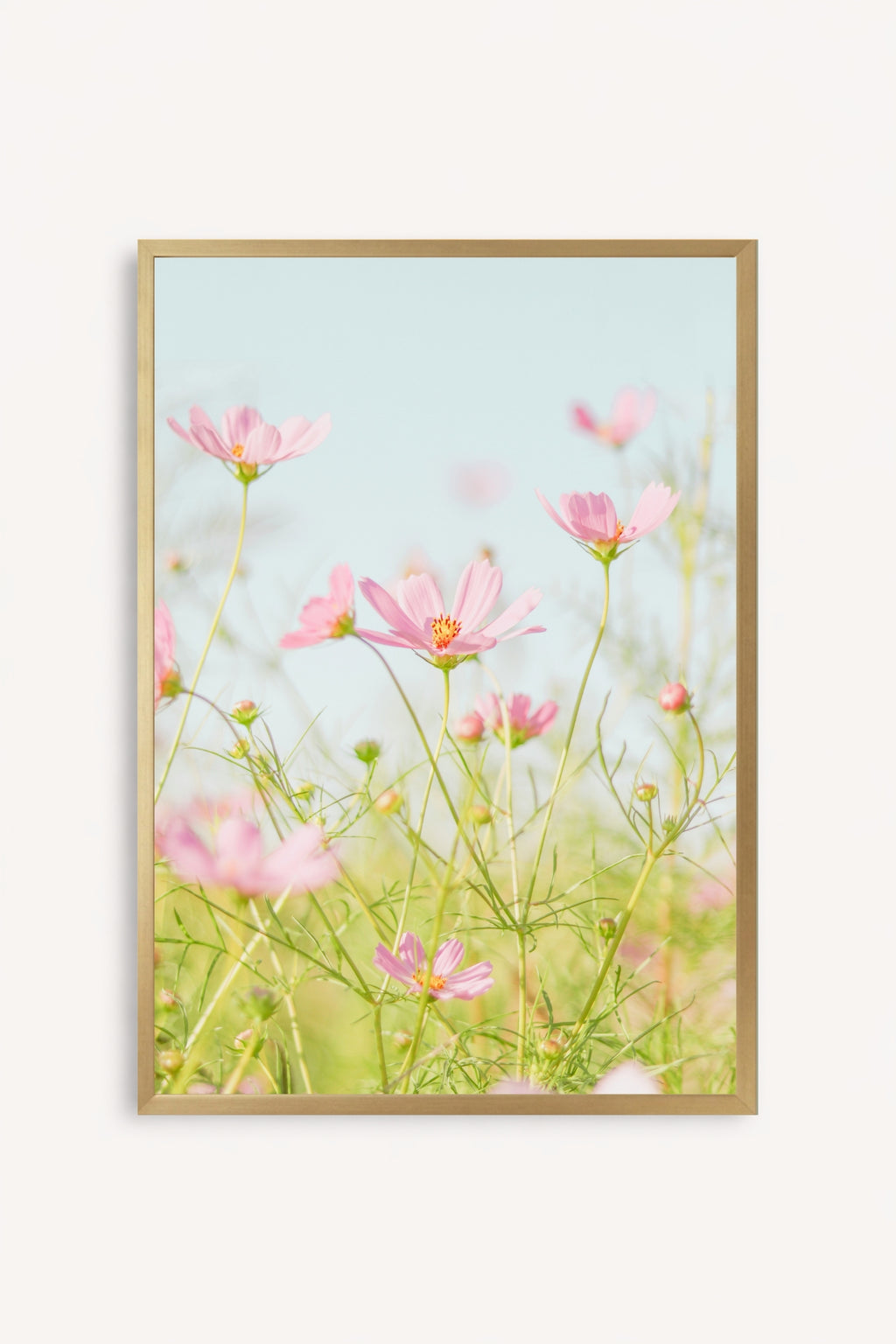 Flores Rosadas
