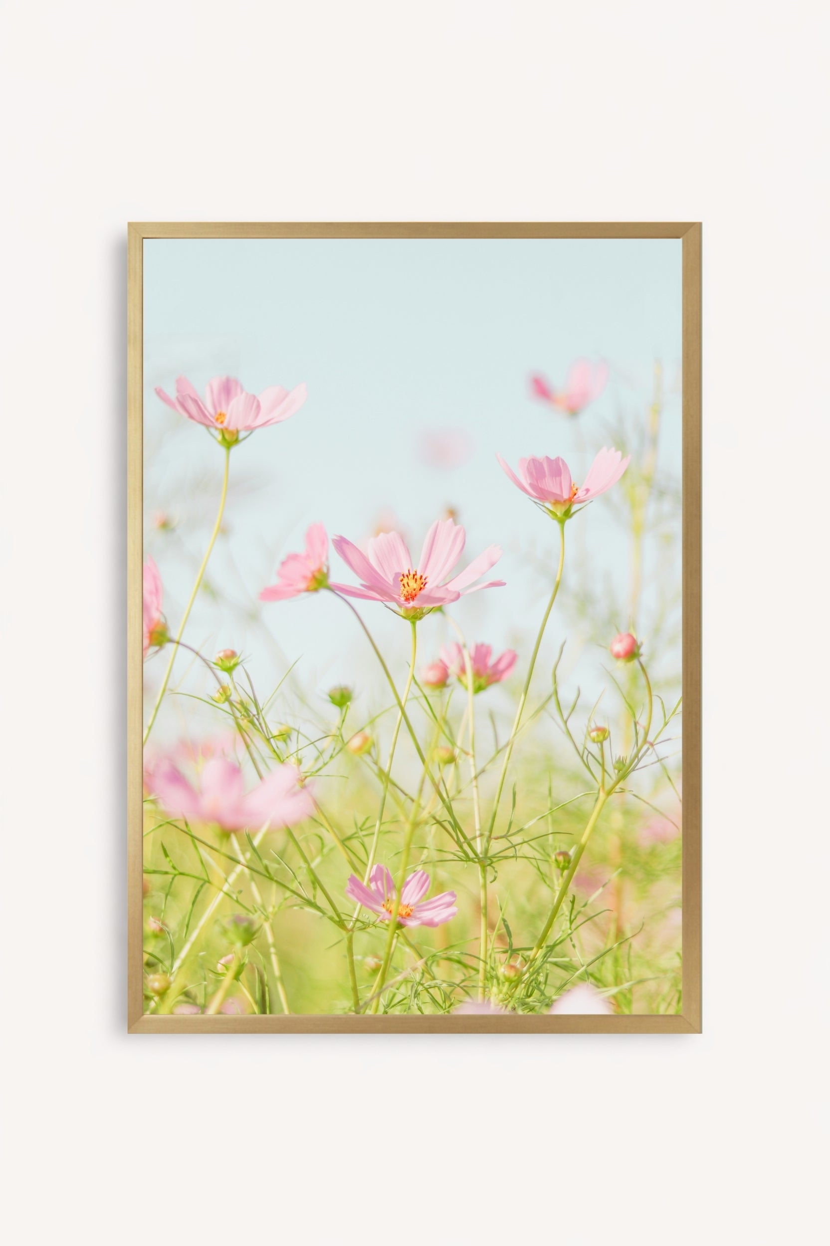 Flores Rosadas