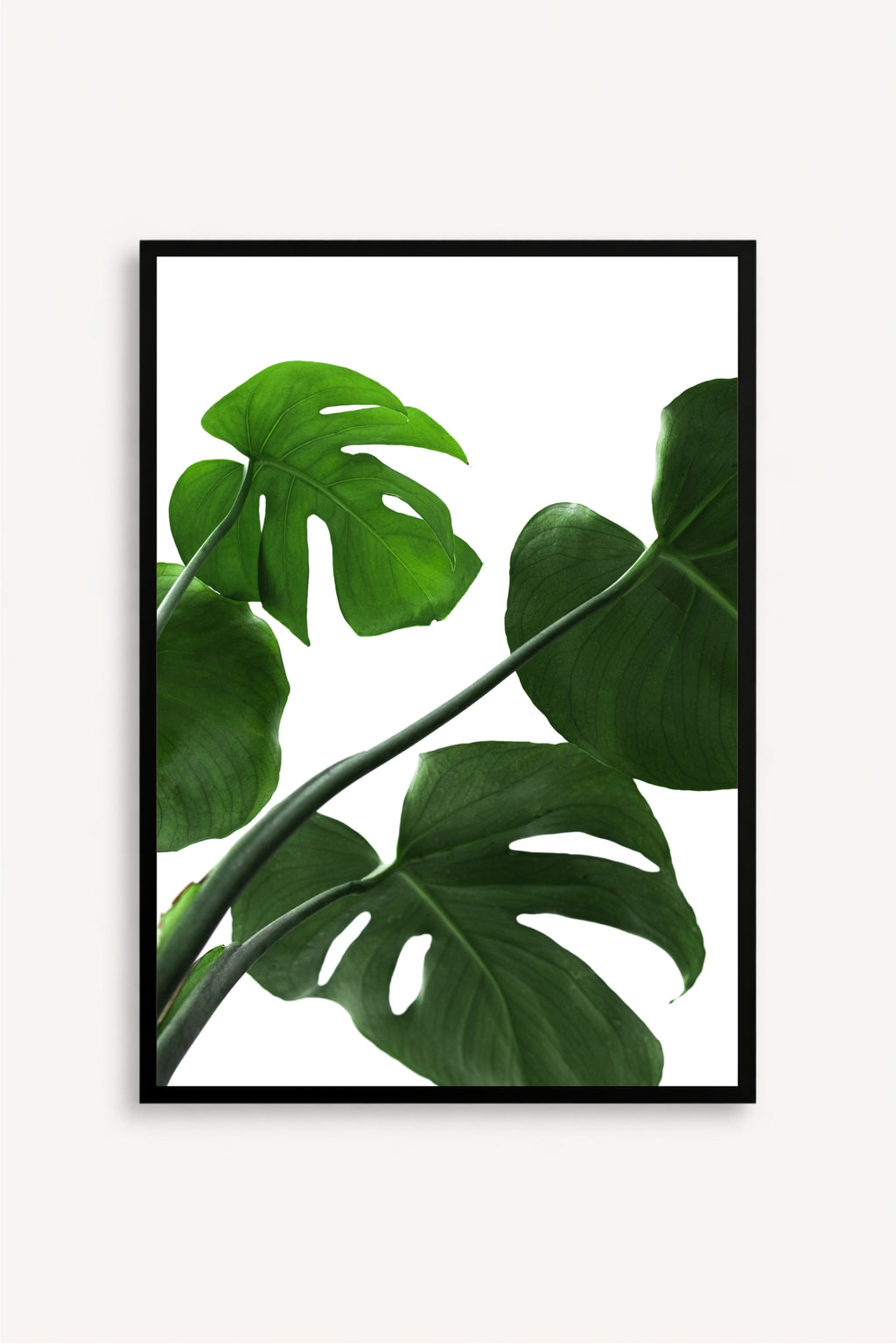 Esencia Tropical