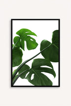 Esencia Tropical
