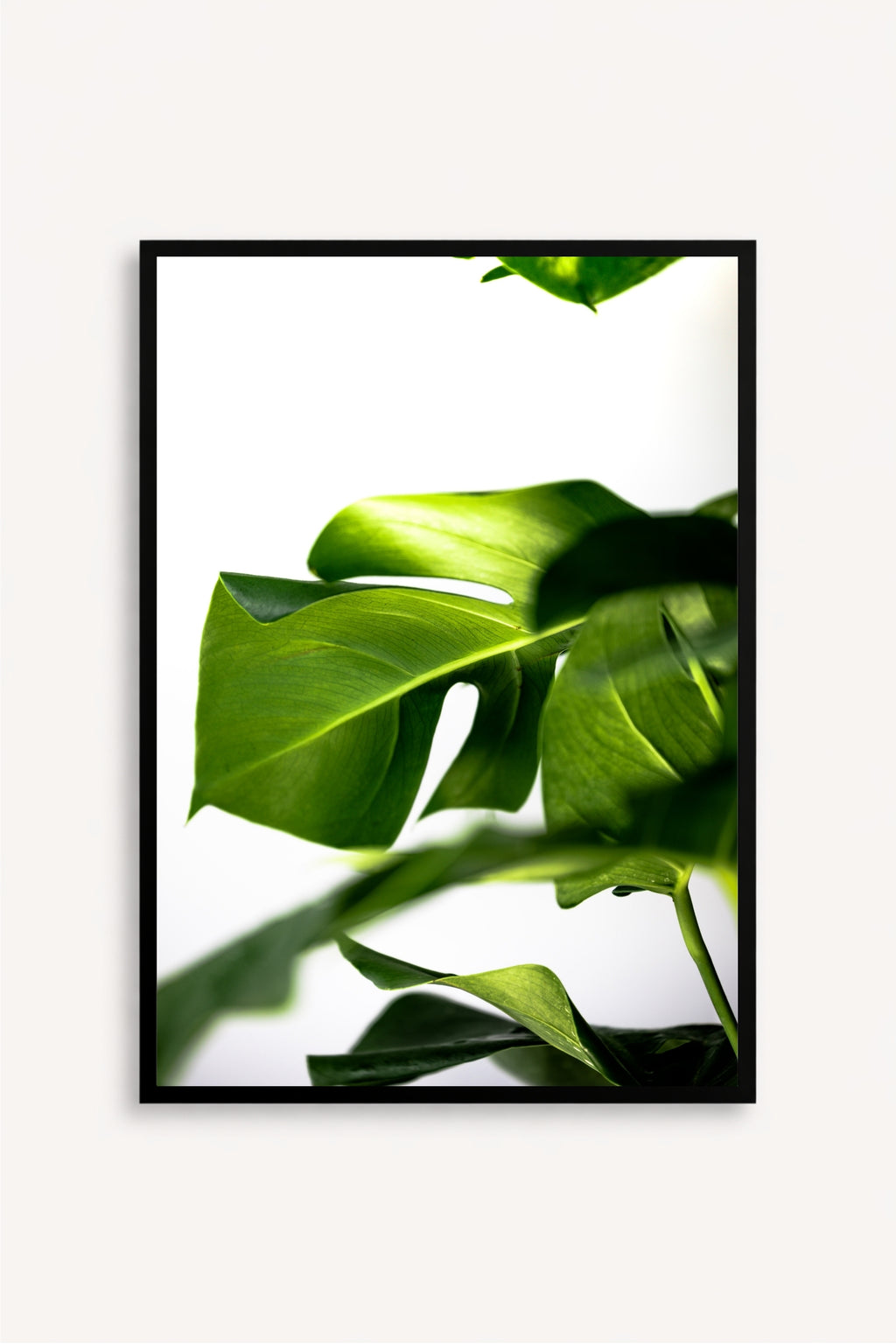 Greenery