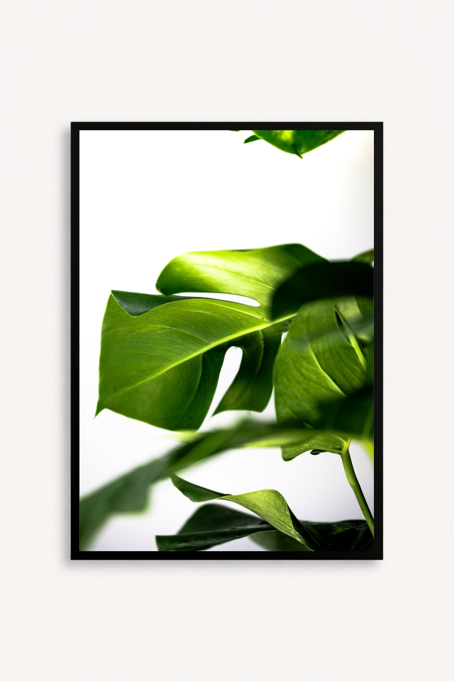 Greenery