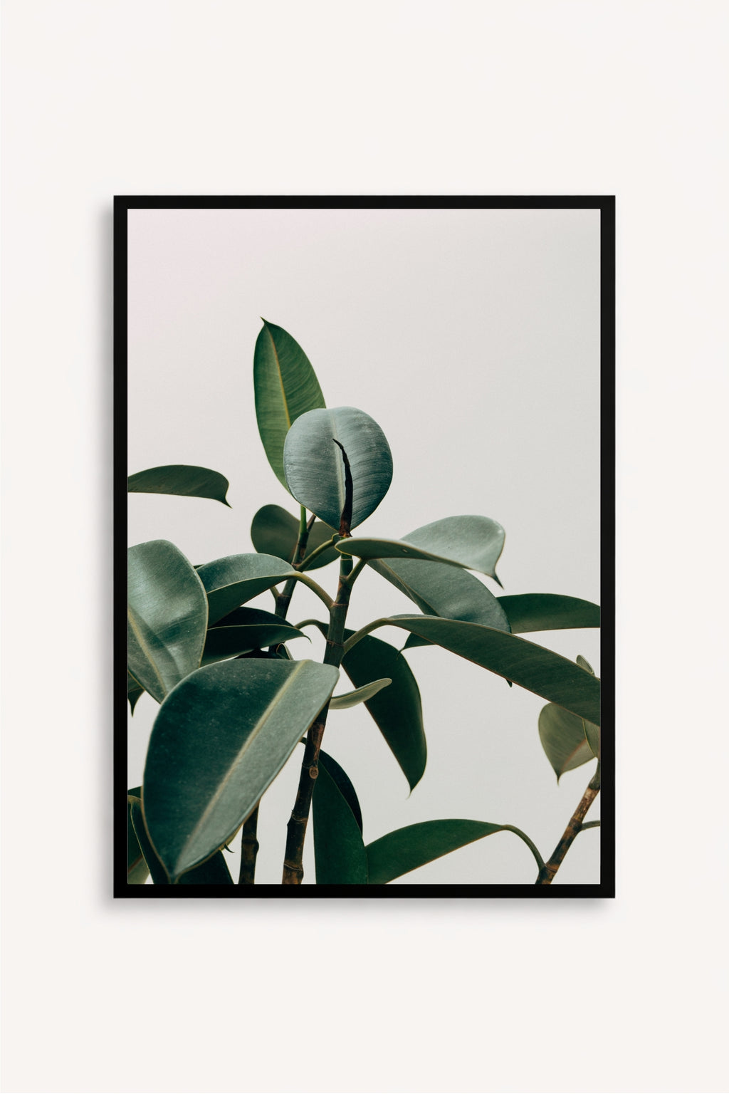 Silent Plant