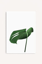 Soft Green