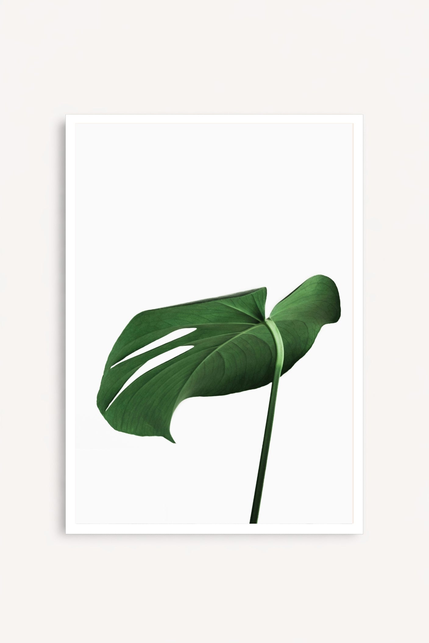 Soft Green