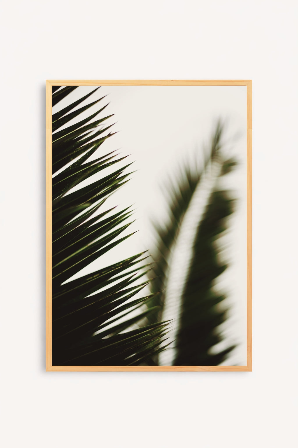 Palma I