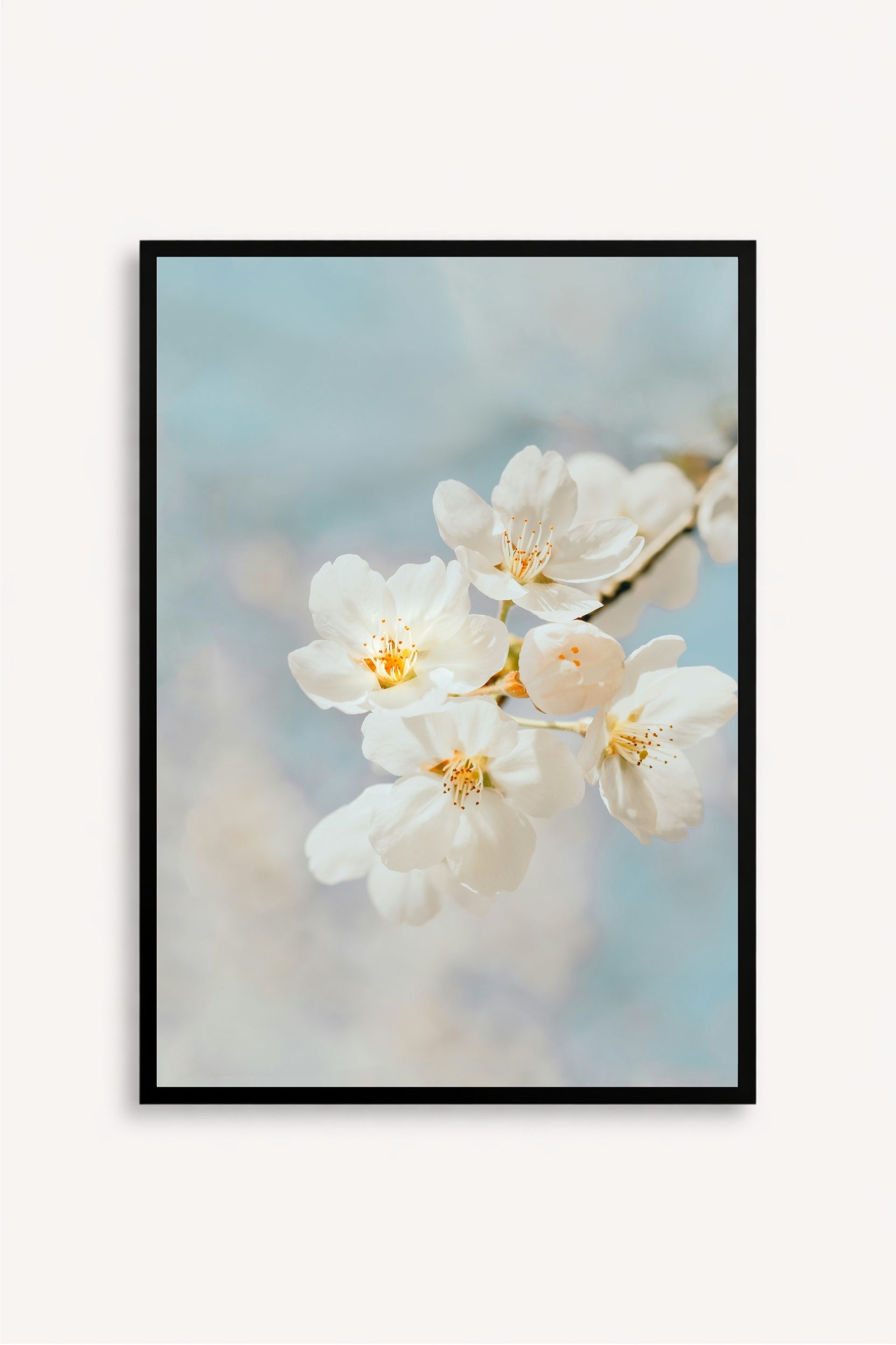 Blossom