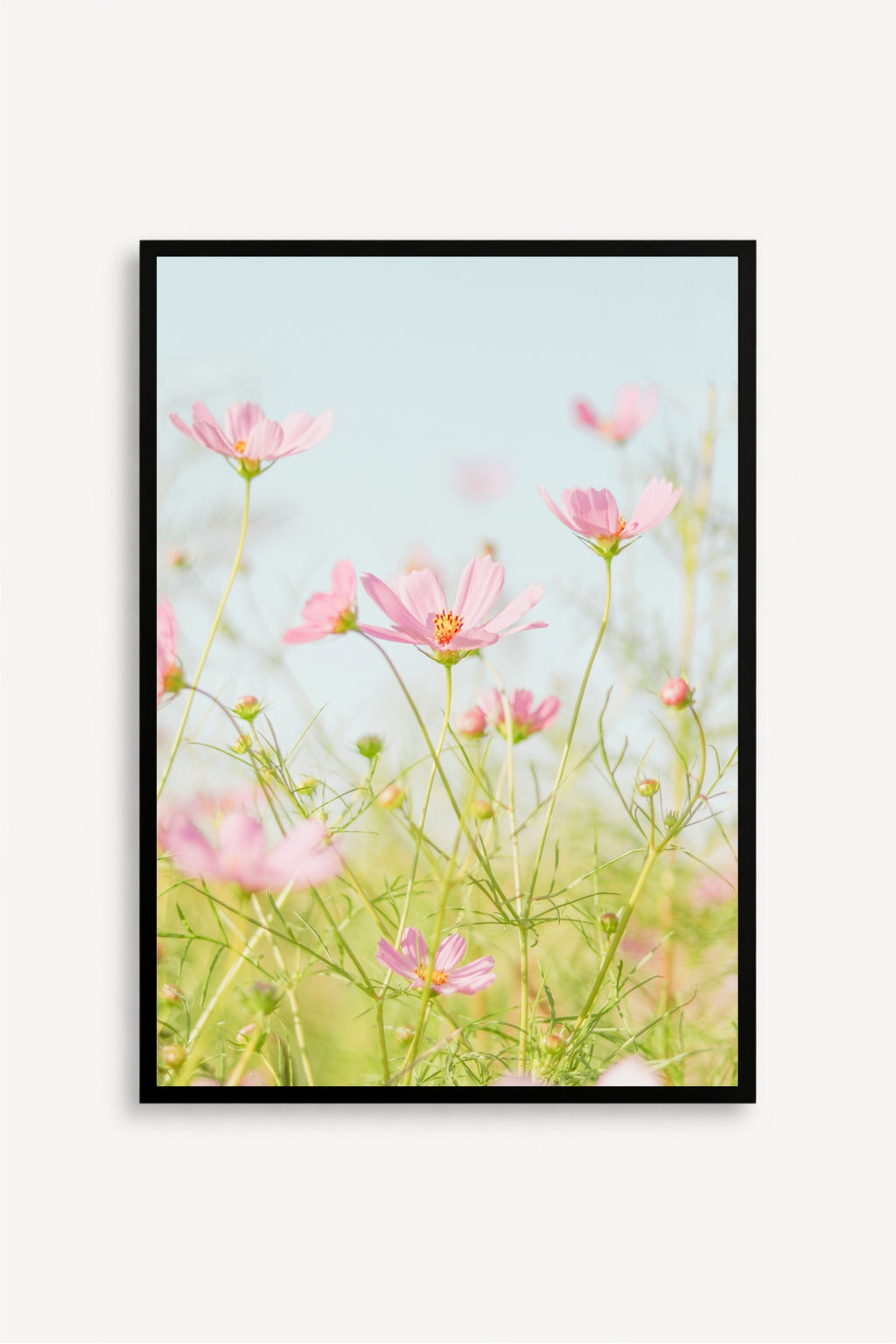 Flores Rosadas