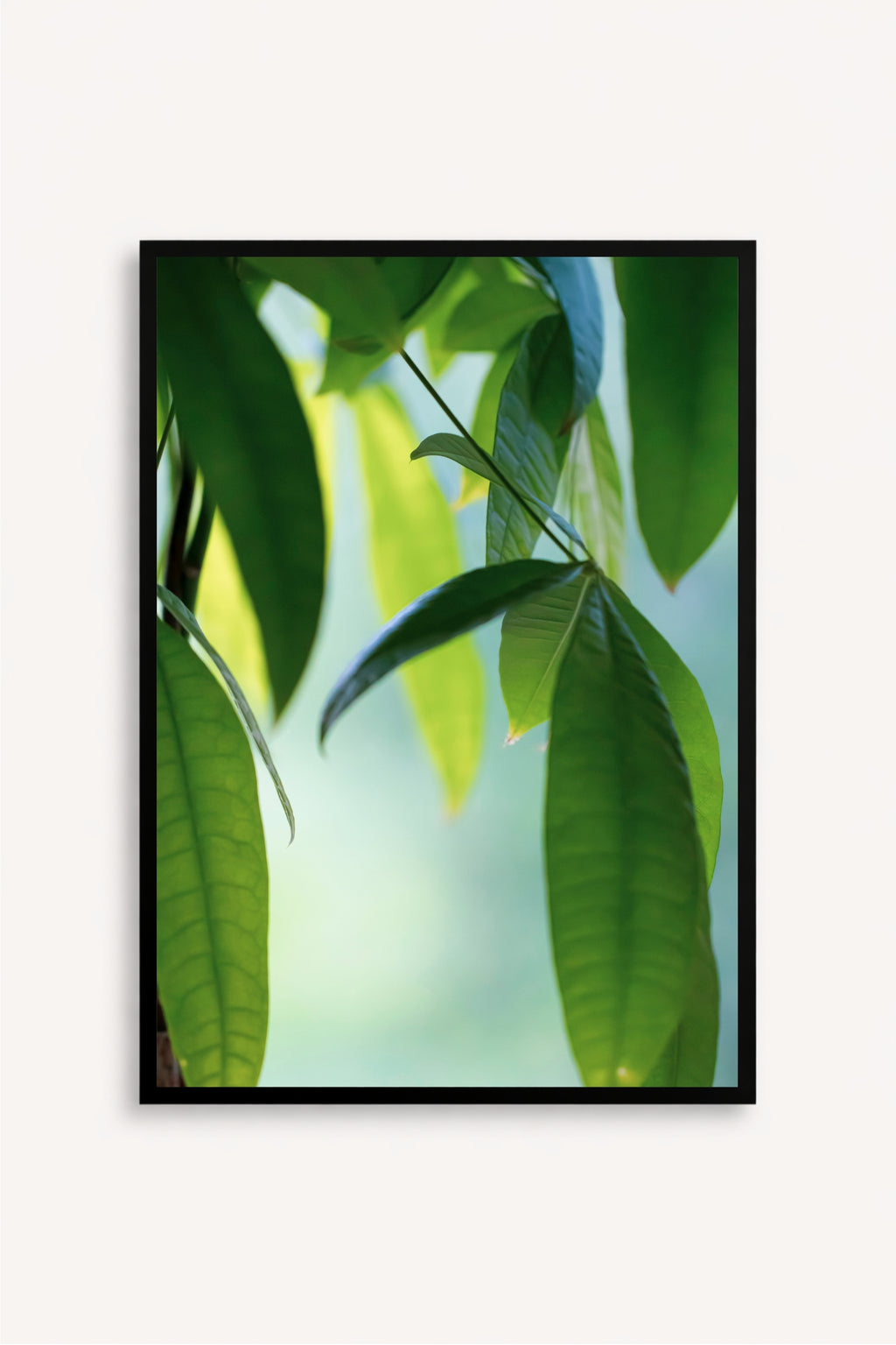 Cuadro Abanico Verde