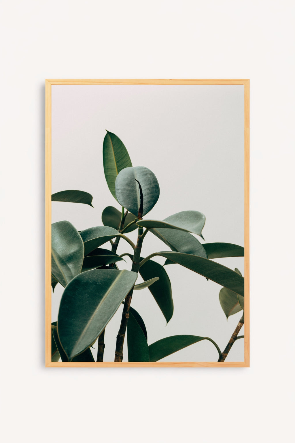 Silent Plant