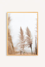 Pampas I