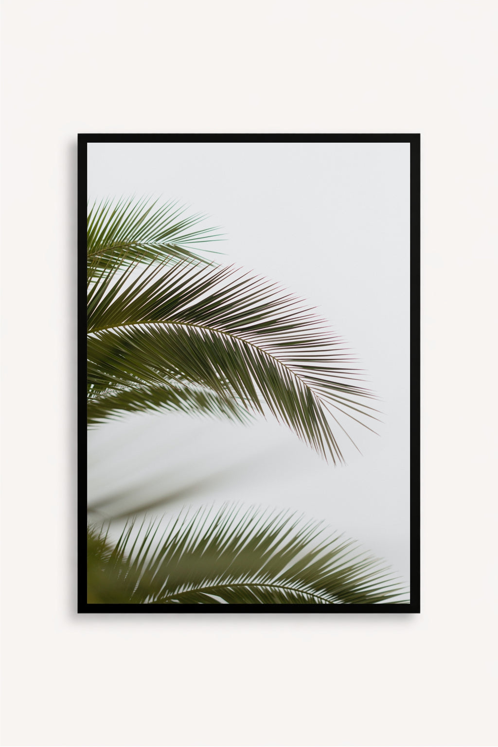 Hojas de palmera