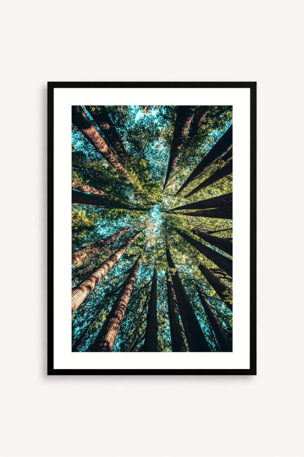 Bosque Contrapicado