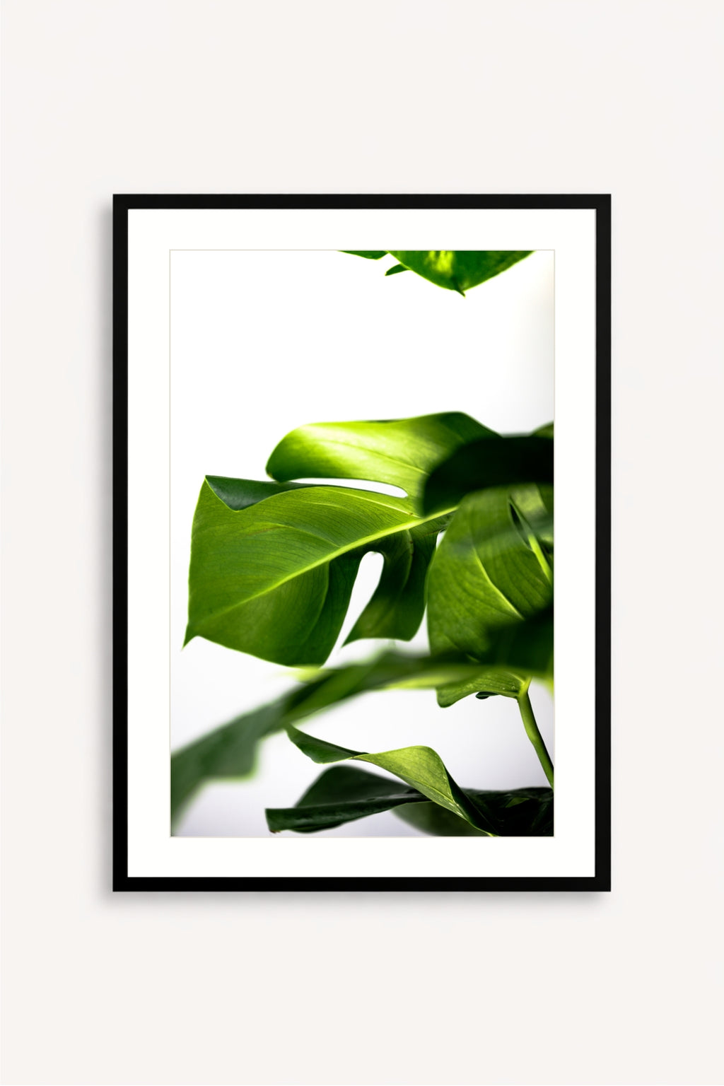 Greenery
