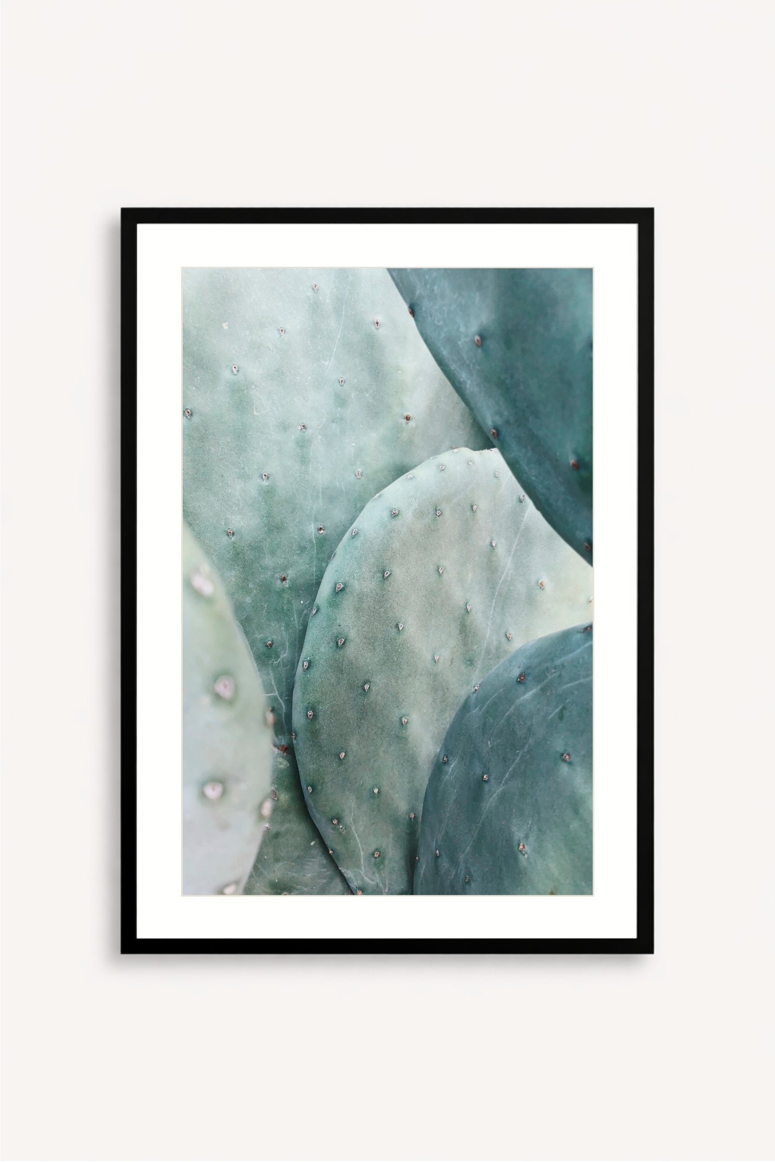 Mint Sage