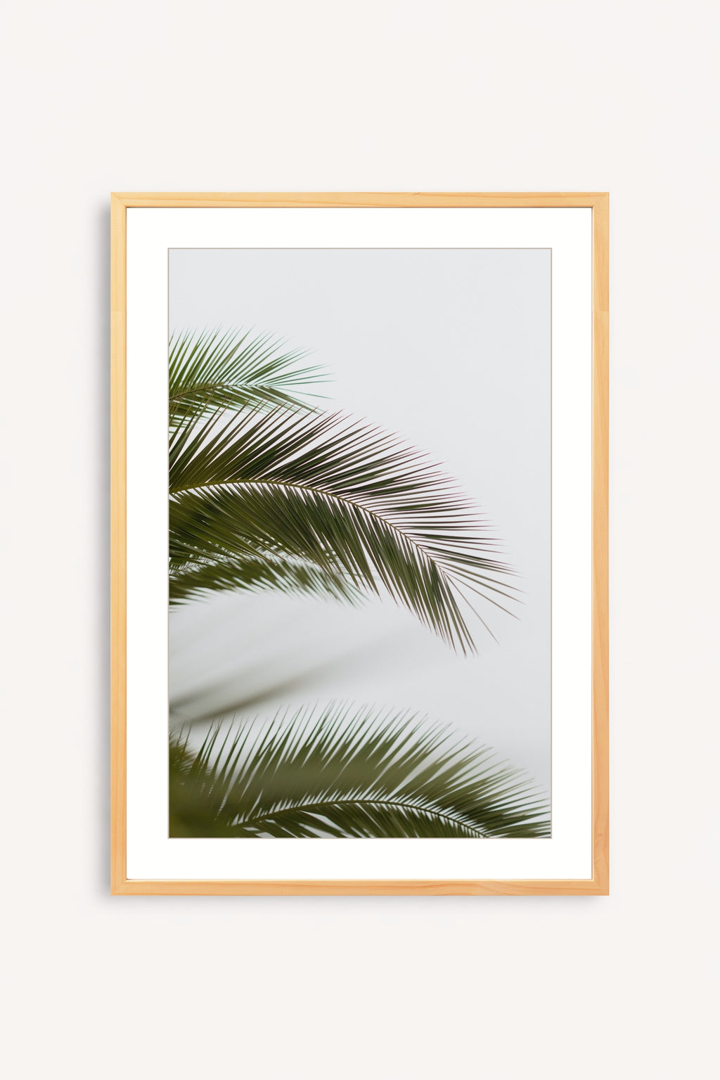 Hojas de palmera