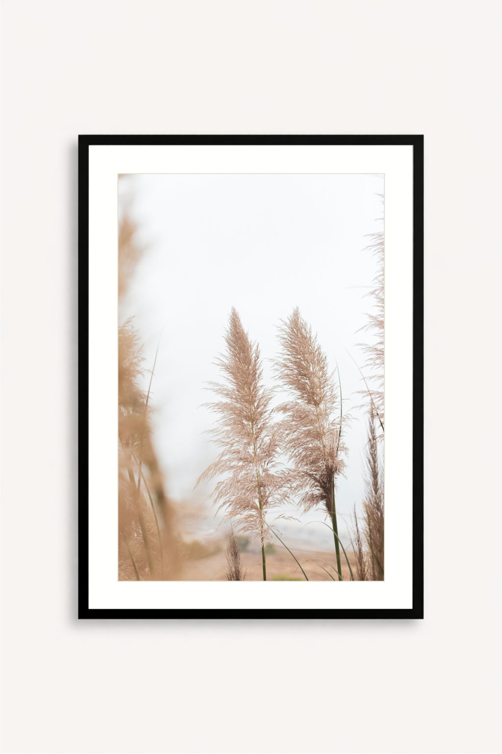 Pampas I