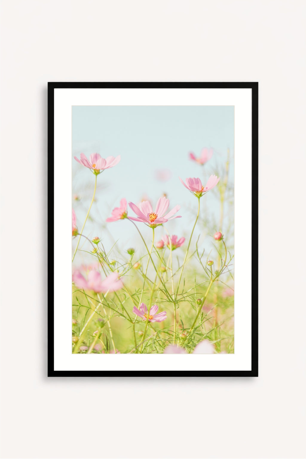 Flores Rosadas