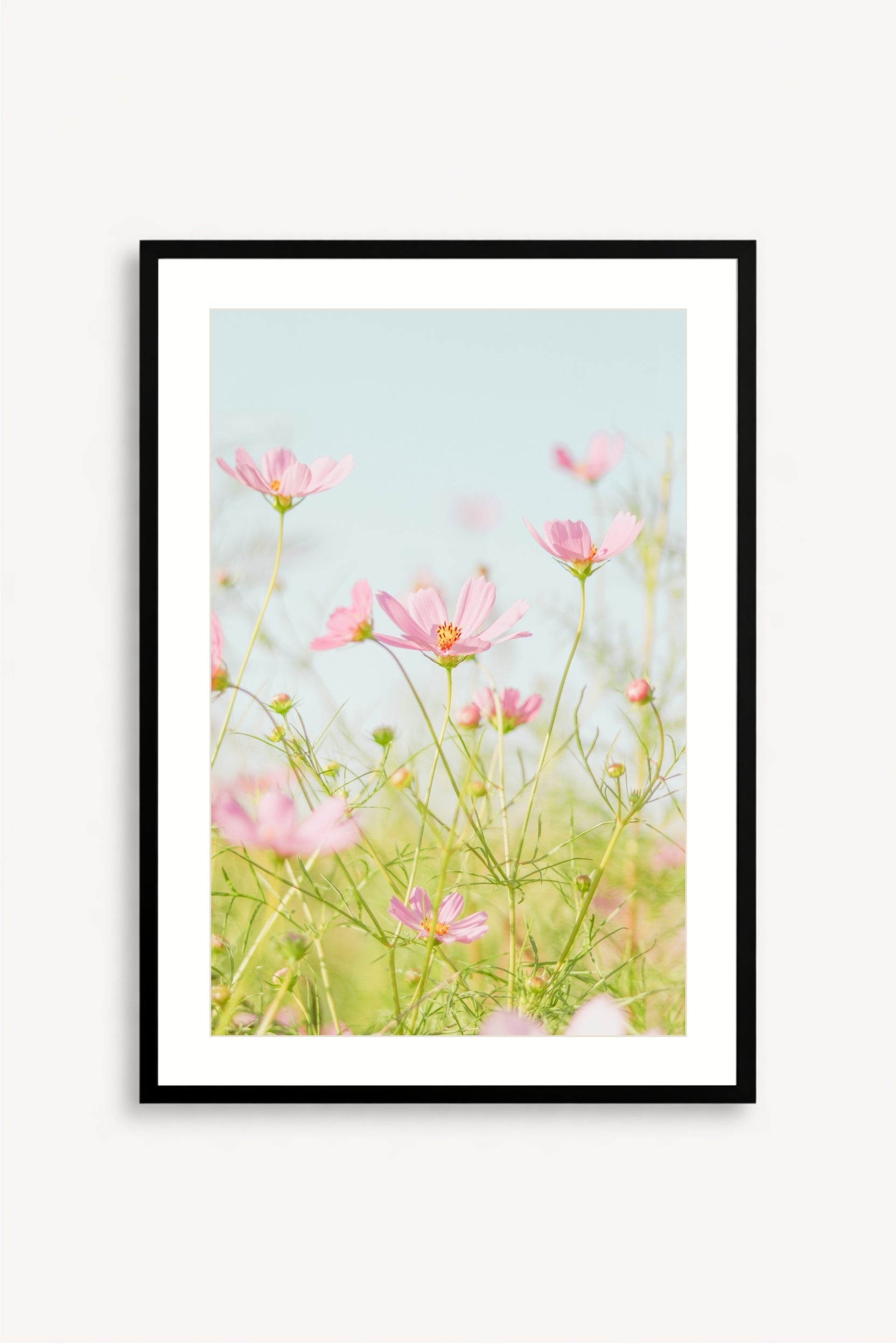 Flores Rosadas