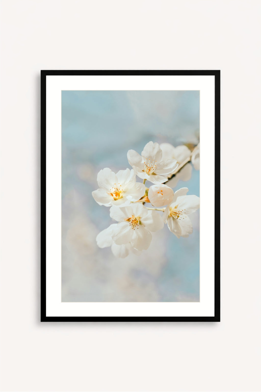 Blossom