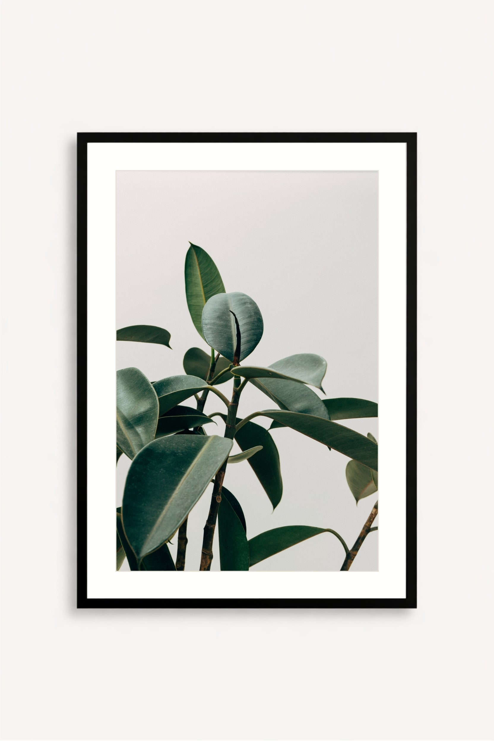 Silent Plant