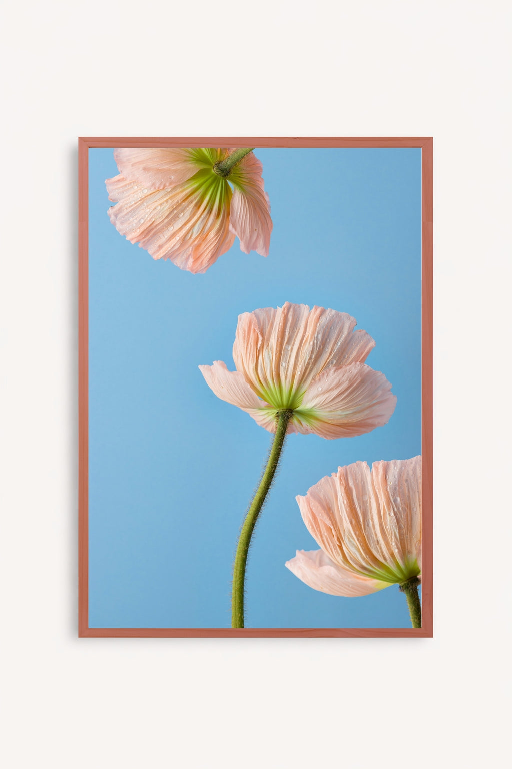 Esencia Floral