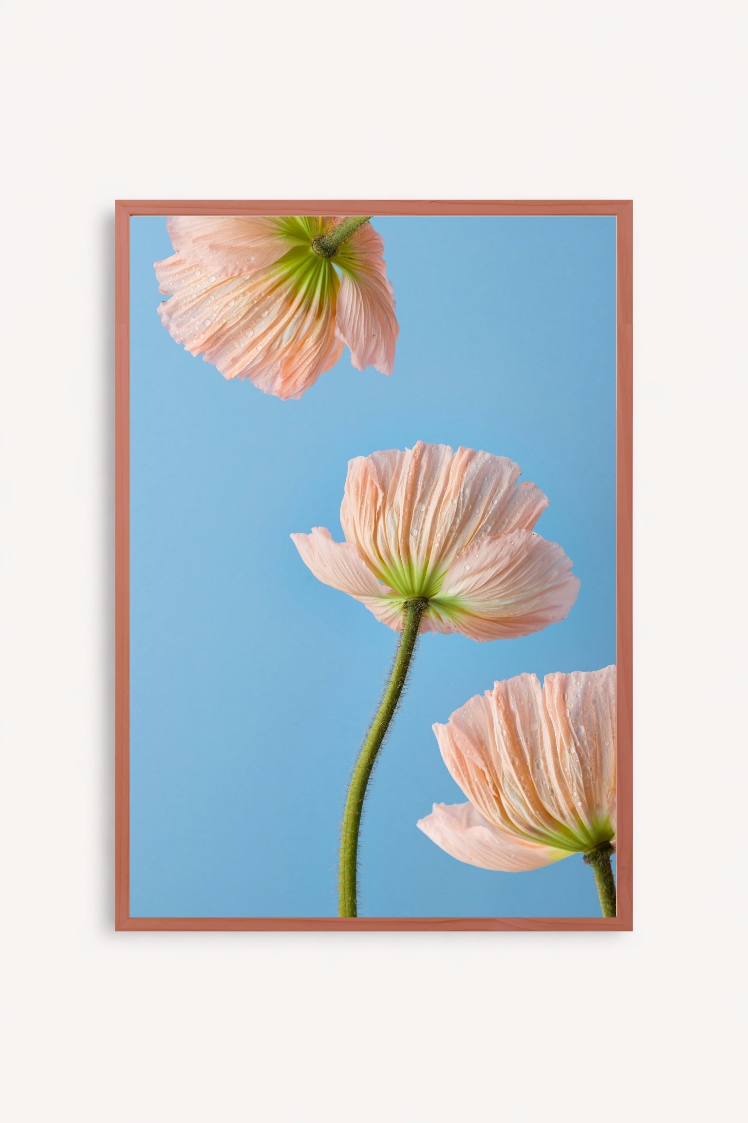 Esencia Floral