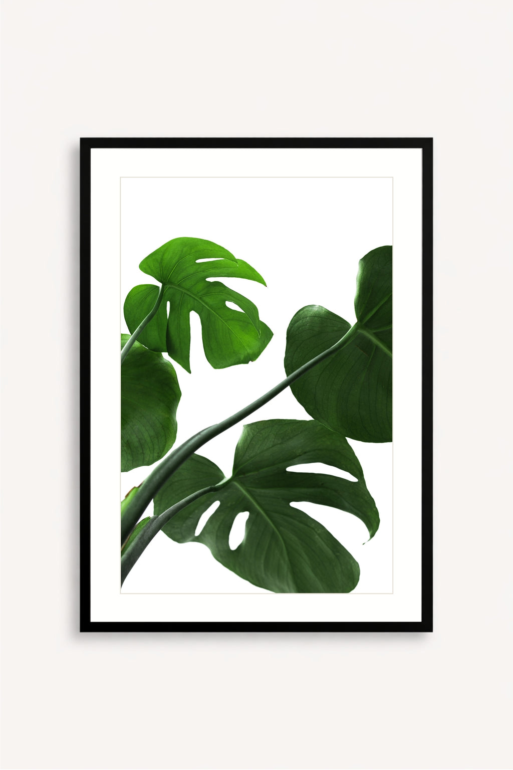 Esencia Tropical