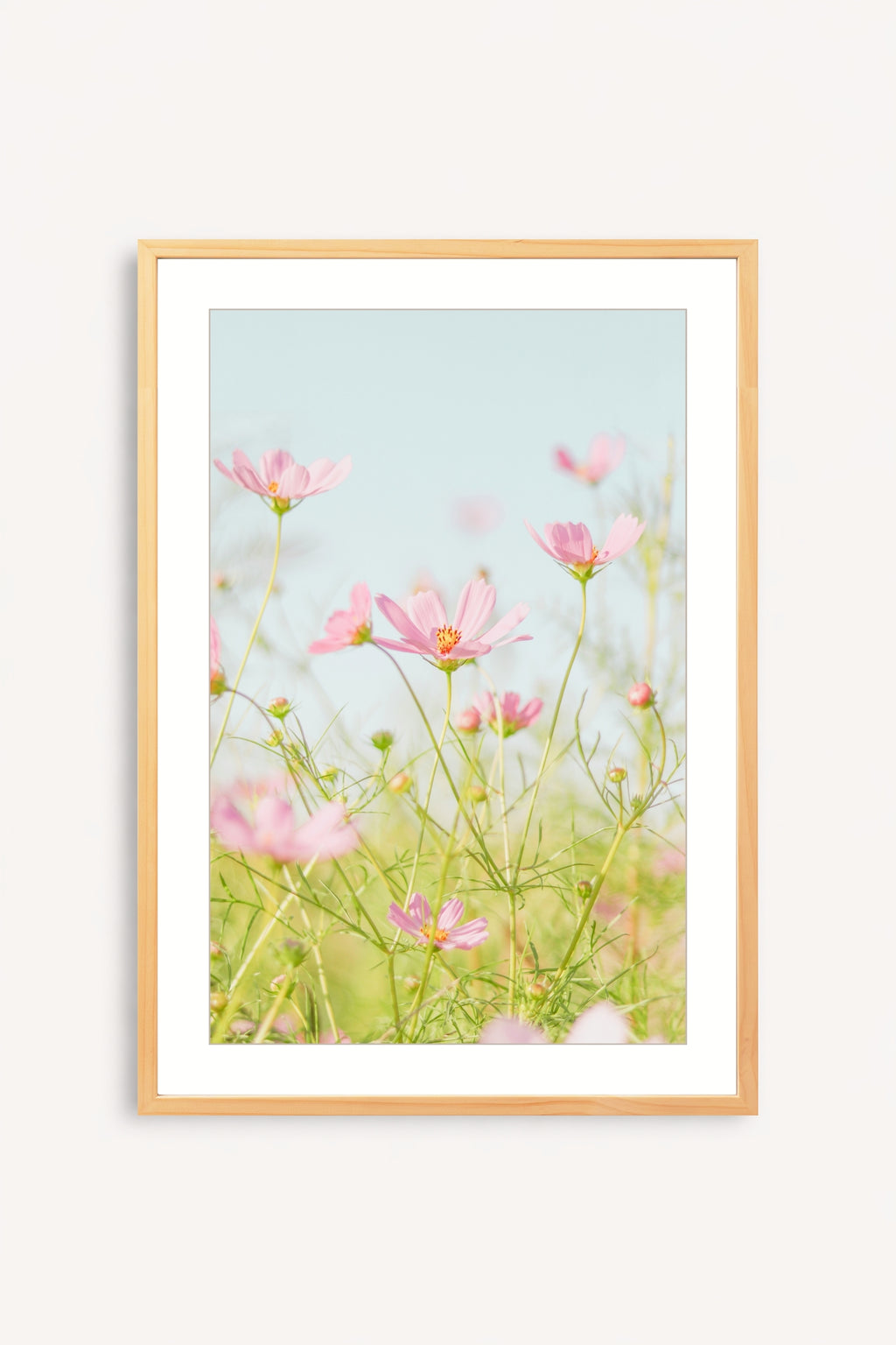 Flores Rosadas