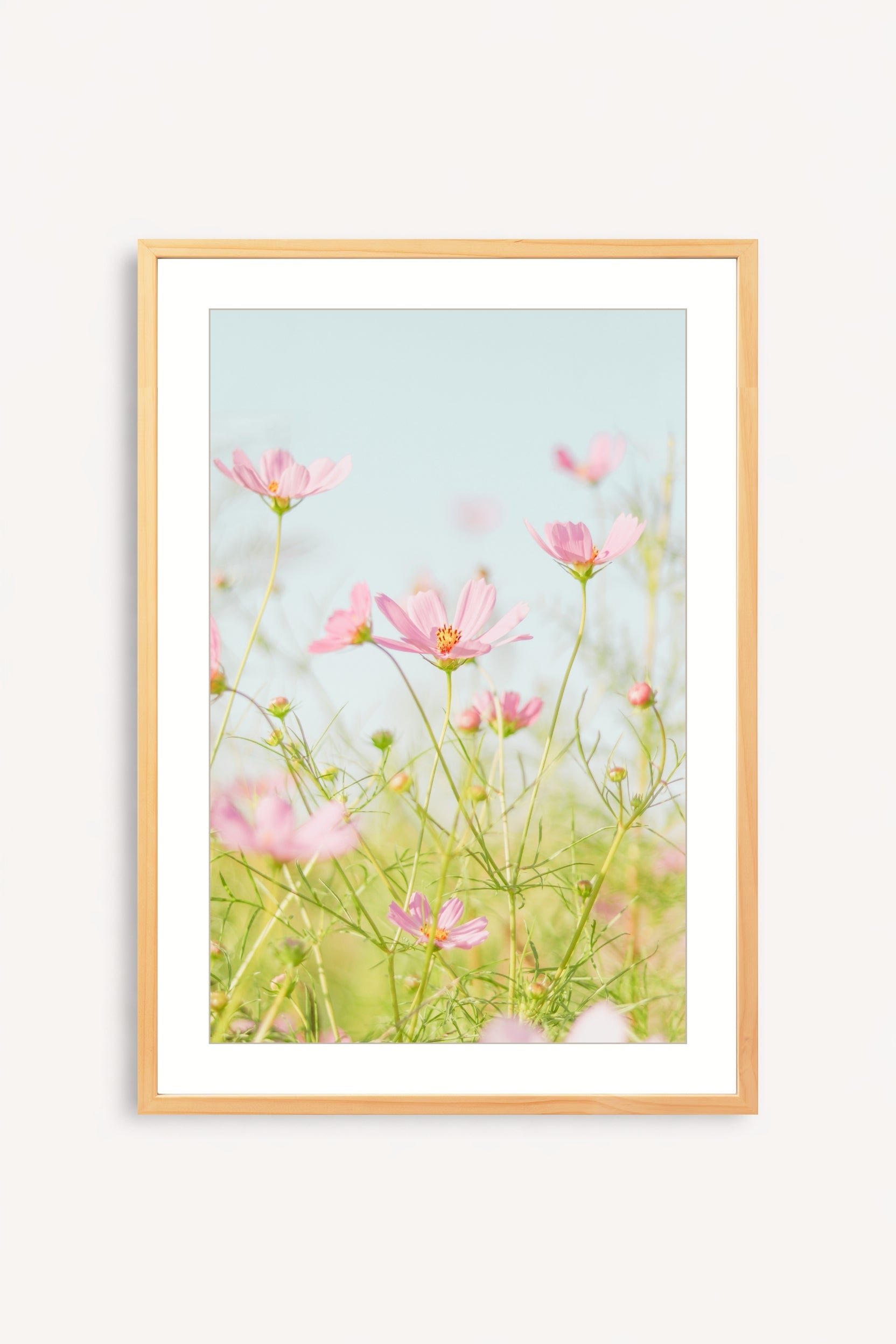 Flores Rosadas