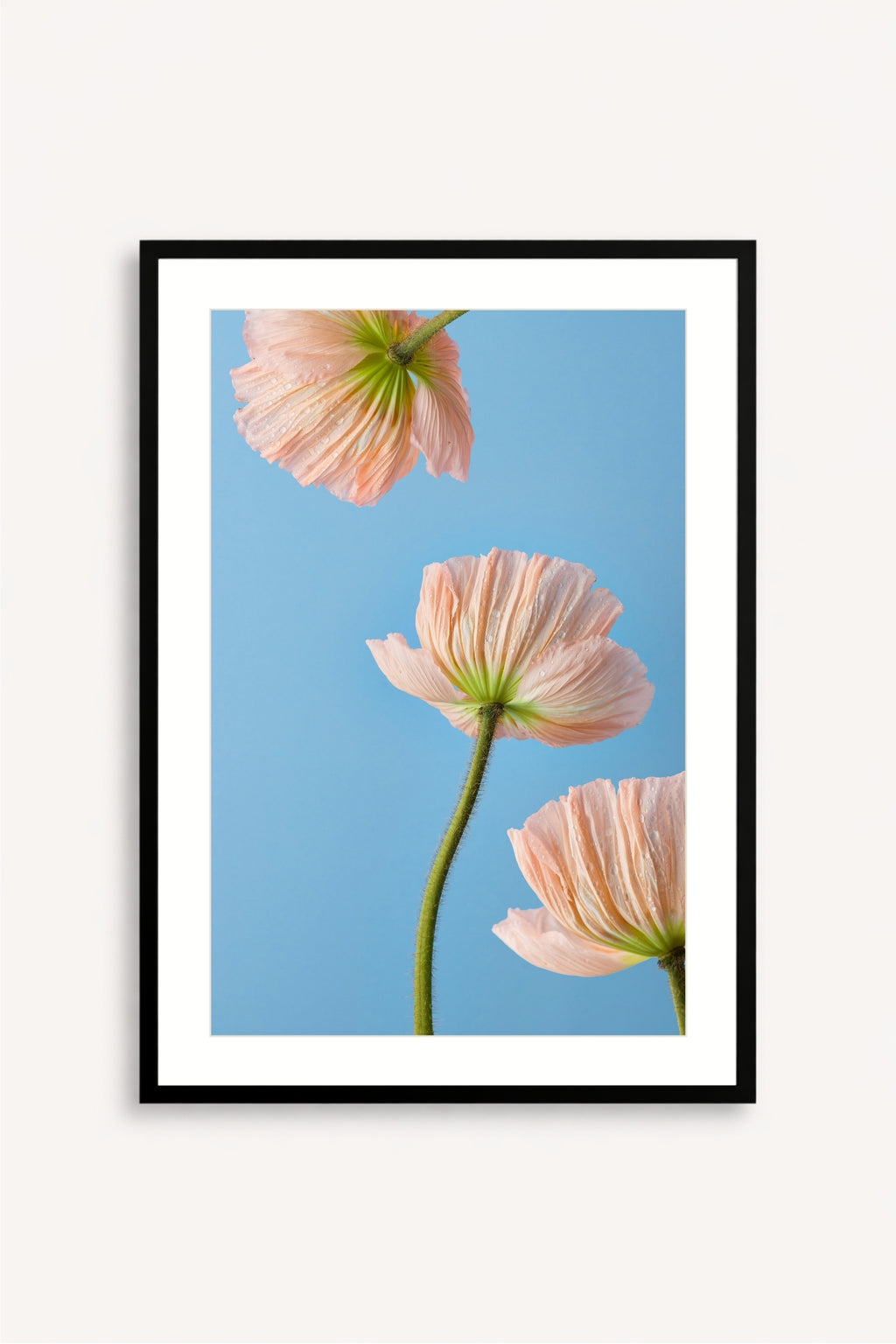 Esencia Floral
