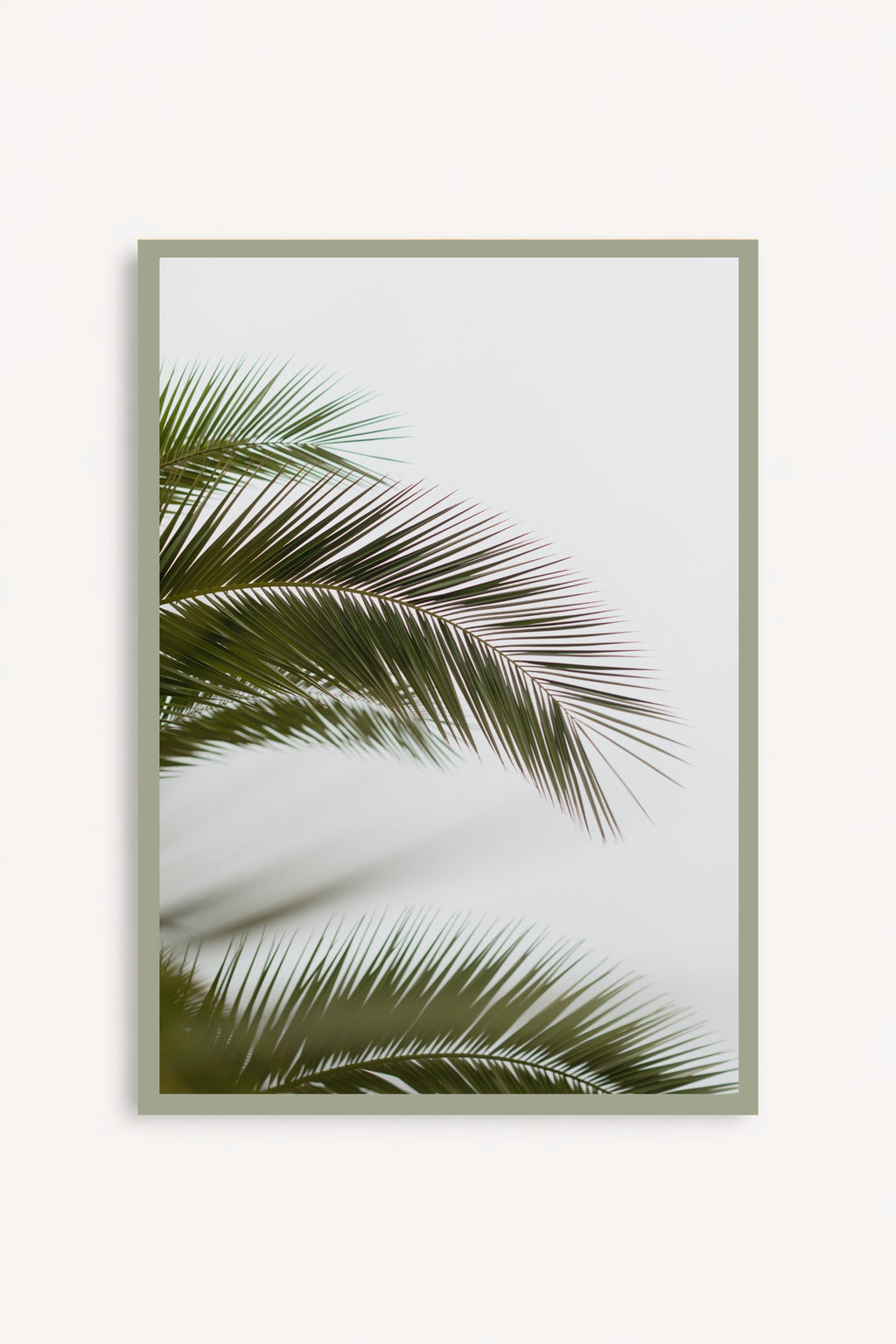 Hojas de palmera