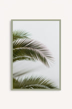 Hojas de palmera