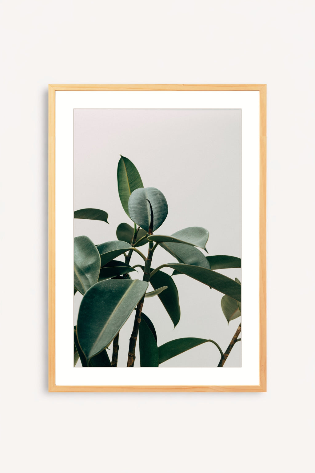 Silent Plant
