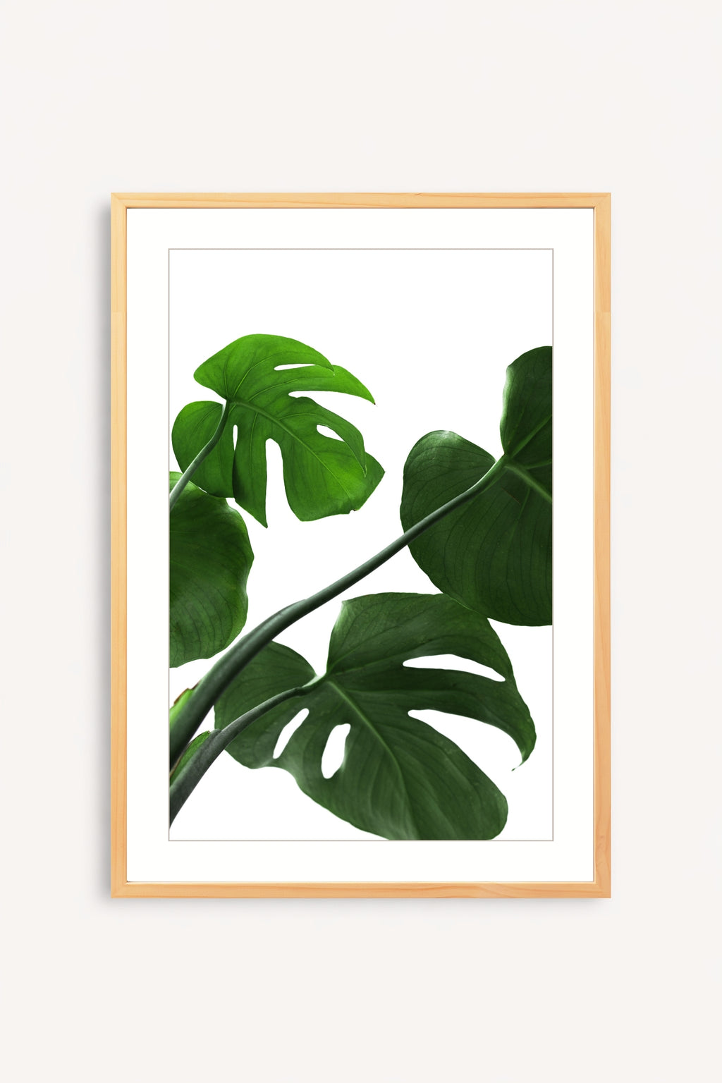 Esencia Tropical